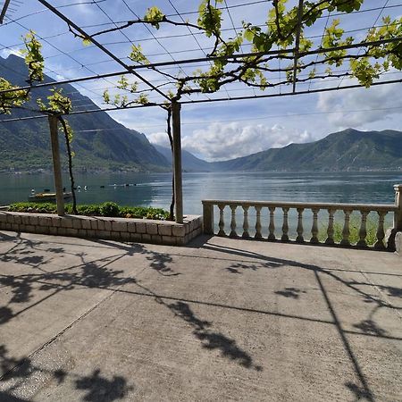 Apartments Goran Kotor Eksteriør bilde